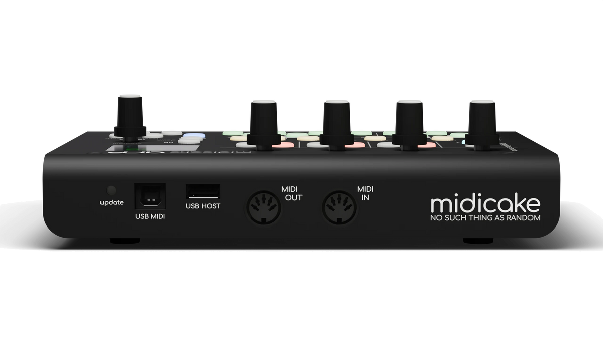 Midicake ARP rear panel: USB MIDI, USB host, MIDI out and MIDI in